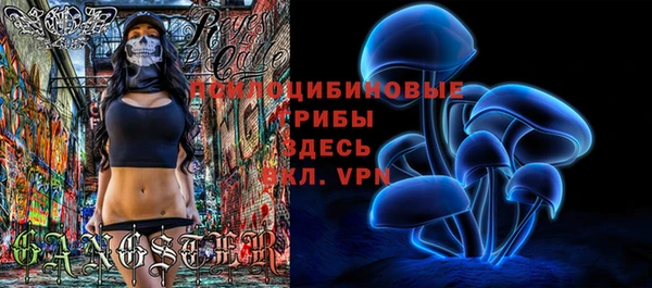 a pvp Нягань