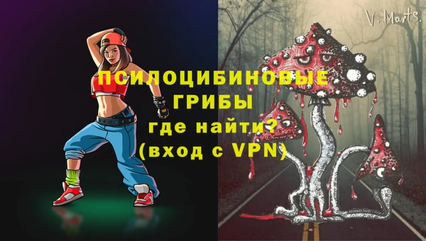 ECSTASY Нязепетровск
