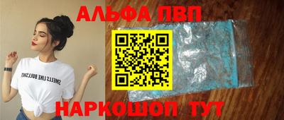 СК Кингисепп