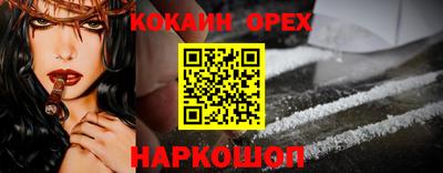 СК Кингисепп