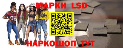 СК Кингисепп