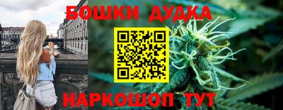 СК Кингисепп