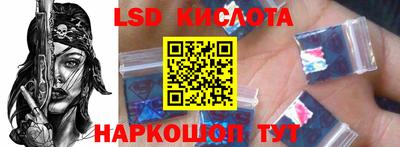 СК Кингисепп