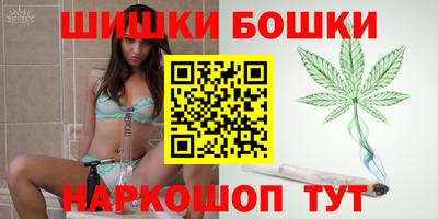 СК Кингисепп