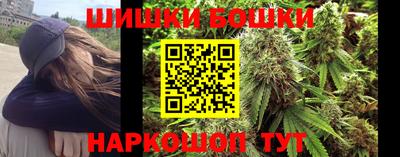 СК Кингисепп