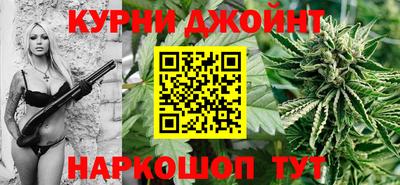 СК Кингисепп