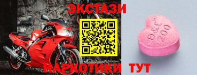 СК Кингисепп