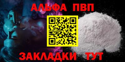 СК Кингисепп