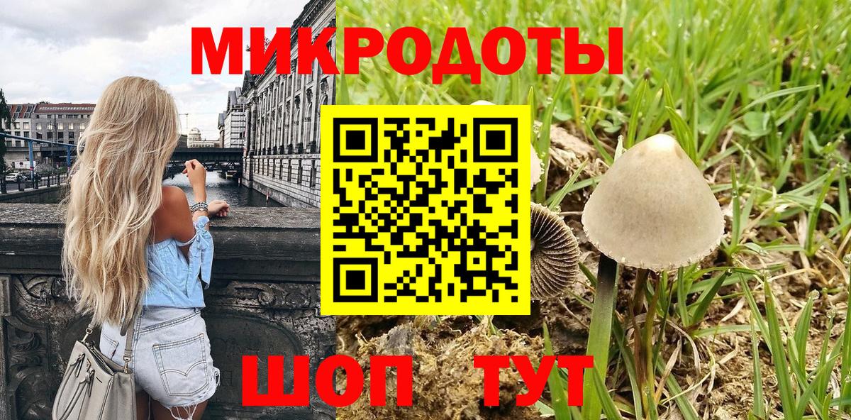 Псилоцибиновые грибы ЛСД Тосно