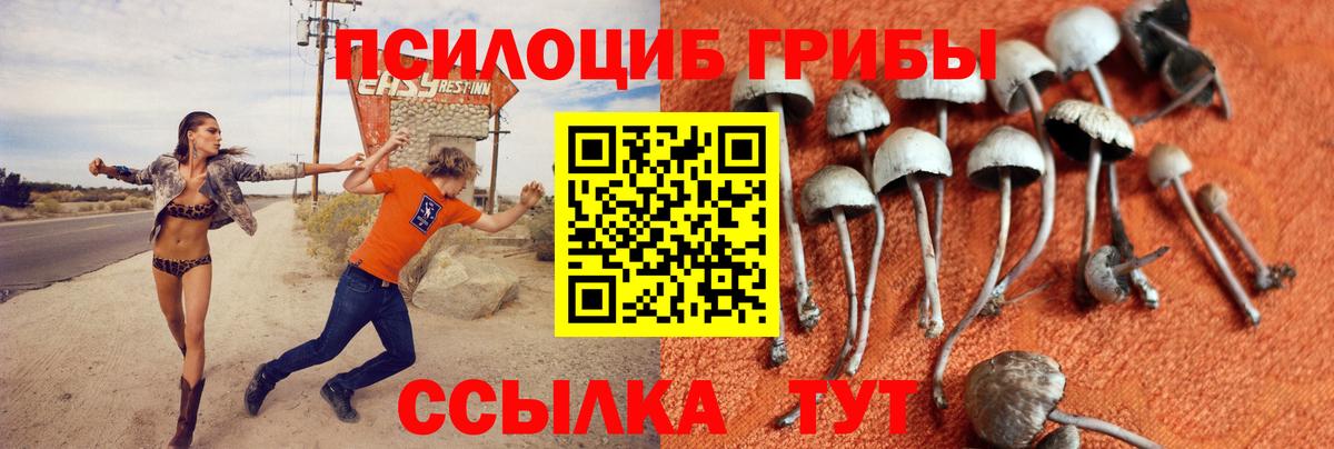что такое наркотик  Тосно  Галлюциногенные грибы MAGIC MUSHROOMS 