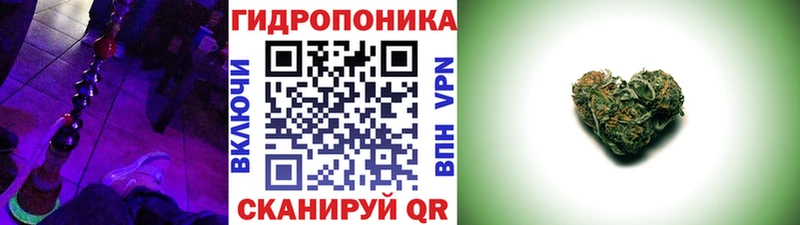 хочу   Тосно  Каннабис конопля 